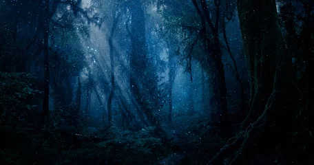 Fototapete Rund Zauberwald Zauberwald mit Lichtpunkten  © quickshooting