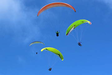 Paragliders flying wings in a blue sky	