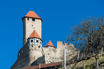 Fototapeta na wymiar Burg Hornberg bei Neckarzimmern