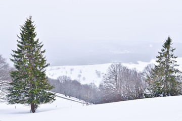 Winter-Christmas vibe at Schauinsland mountain in Black Forest, Germany 