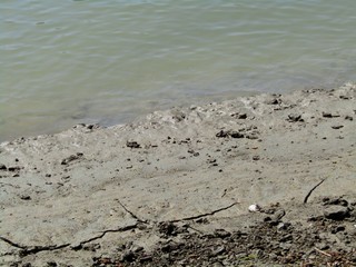 Detail of the banks of the Tisza River