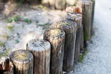 Logs wooden fence in the forest