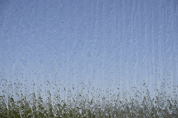 glass 5