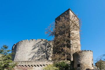 Burg Guttenberg