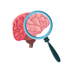 brain with magnifying glass on white background