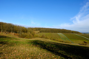 Fototapeta na wymiar Landschaft und Weinberge bei Wipfeld, Landkreis Schweinfurt, Unterfranken, Franken, Bayern, Deutschland