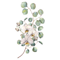 Watercolor bouquet with white orchids and silver dollar eucalyptus leaves. Hand painted tropical card with flowers isolated on white background. Floral illustration for design, print, background.