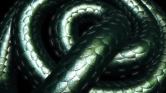 3d Snake Skin Patten Slithering