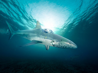 mini submarine explores the sea 3d-illustration