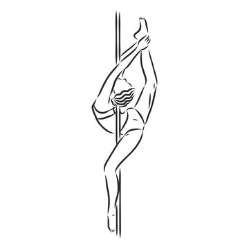Pole dancer on the pole. Beautiful young woman on the pole. vector sketch illustration