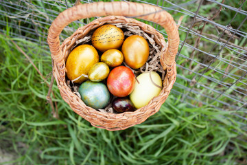 A basket of Easter eggs hangs on the fence against the background of green grass.