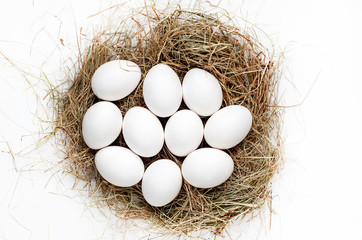 raw chicken eggs in the hay on a white background