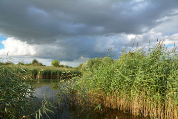 Curved narrow river landscape with the banks richly covered with Phragmites australis, common reed and blue thunderstorm clouds above.