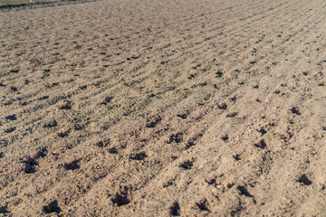 The sand on which the horses ran at the racetrack