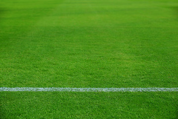 Obraz premium white line on green grass of football field