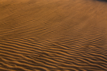 View of the sand dunes near Wharariki Beach at Nelson, New Zealand
