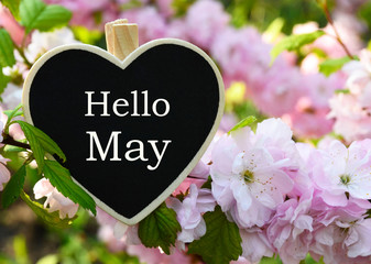 Hello May greeting card with decorative heart and pink spring flowers.Springtime concept with copy space.Selective focus. © svf74
