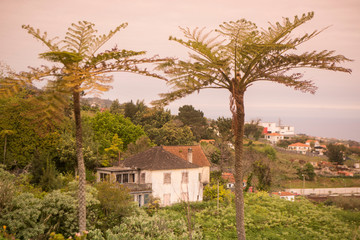 PORTUGAL MADEIRA SANTANA