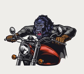 Colorful ferocious gorilla head moto rider