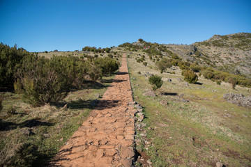 PORTUGAL MADEIRA NATIONAL PARK LANDSCAPE