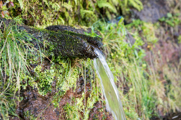 PORTUGAL MADEIRA RIBEIRO FRIO LEVADAS