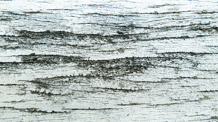 white vintage wood paint texture