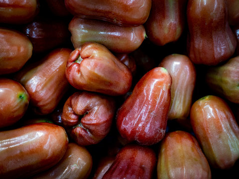 rose apple background wallpaper tropical fruit