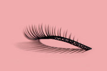 A pattern of separate false lashes on pink background with hard light makes shadow - 339252679