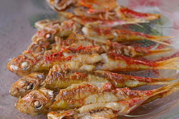 Mullus barbatus /  mullet fish grill