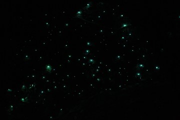 
The starry sky in Waitomo Glowworm Caves, New Zealand
