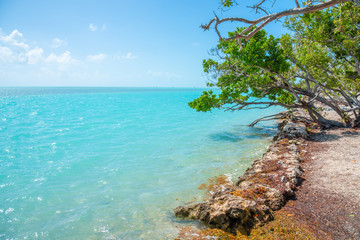 Fototapeta na wymiar Turquoise sea in Florida Keys shore