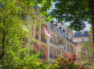 Elegant building seen through green trees in Paris