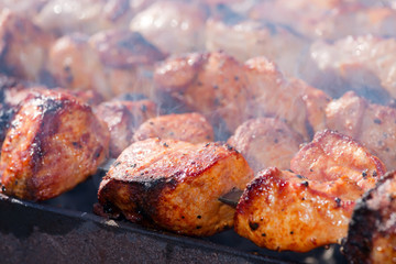 grilled caucasus barbecue in smoke on a garden, close up