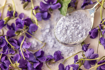 close up lilac sweet sugar crystals bath salts from fresh viola violet violetta odorata blossom...