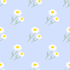 chamomile flowers seamless pattern on blue background