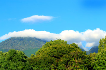 green forest  and mountain  on blue sky bright with white  cloud   look comfortable