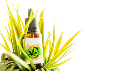 Cannabis Oil, medical marijuana concept, CBD oil