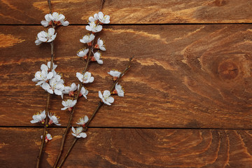 Obraz na płótnie Canvas A bouquet of cherry blossoms on a brown wooden background with an empty space for text on the right top view