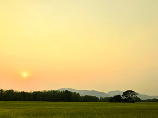 Nature scene. Beautiful sunset at the rice field with mountain background.