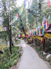  Prayer flags in the Kora walk in McLeod Ganj, India