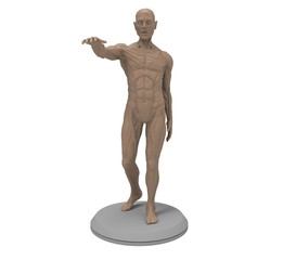 3d illustration of the muscle man anatomy
