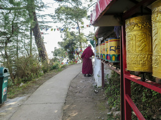 An old Monk spinning prayer wheels in the Kora walk in McLeod Ganj, India