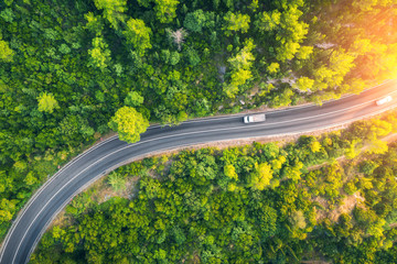 Aerial view of road in beautiful green forest at sunset in spring. Colorful landscape with car on the roadway, trees in summer. Top view from drone of highway in Croatia. View from above. Travel © den-belitsky