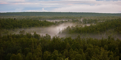 river in the forrest