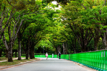 Elderly man and woman are walking on the street of a green park