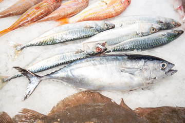 Fresh fish at a fishmonger