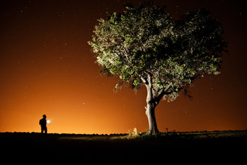 HOMBRE ILUMINANDO A UN ÁRBOL 