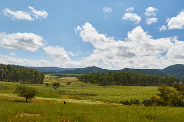 Fototapeta na wymiar Green hills and blue skies in Swaziland