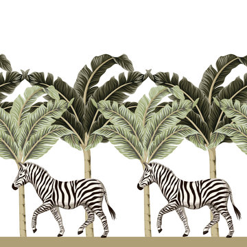 Vintage african zebra wildlife animal, banana tree floral seamless border white background. Exotic safari wallpaper.