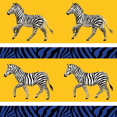 Vintage african zebra wildlife animal seamless pattern striped background. Exotic safari wallpaper. © good_mood